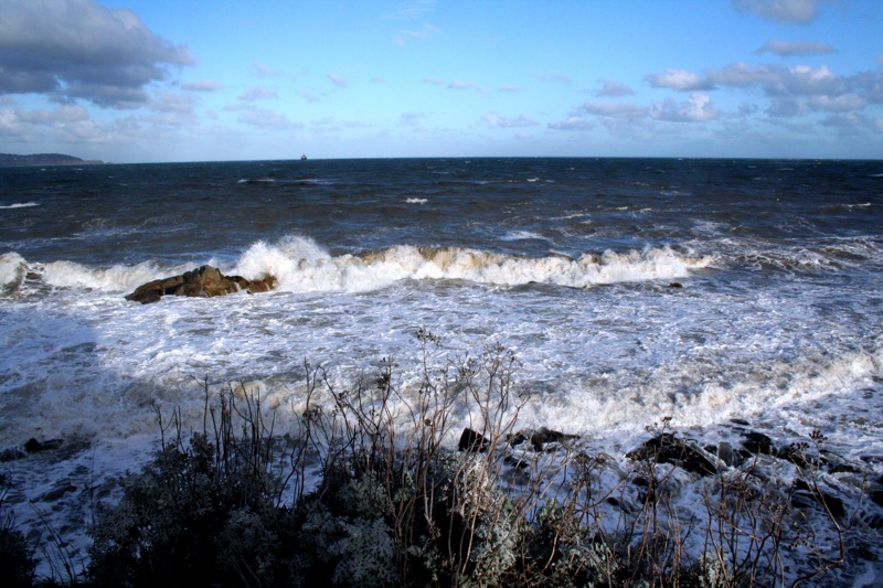 Sunny sea