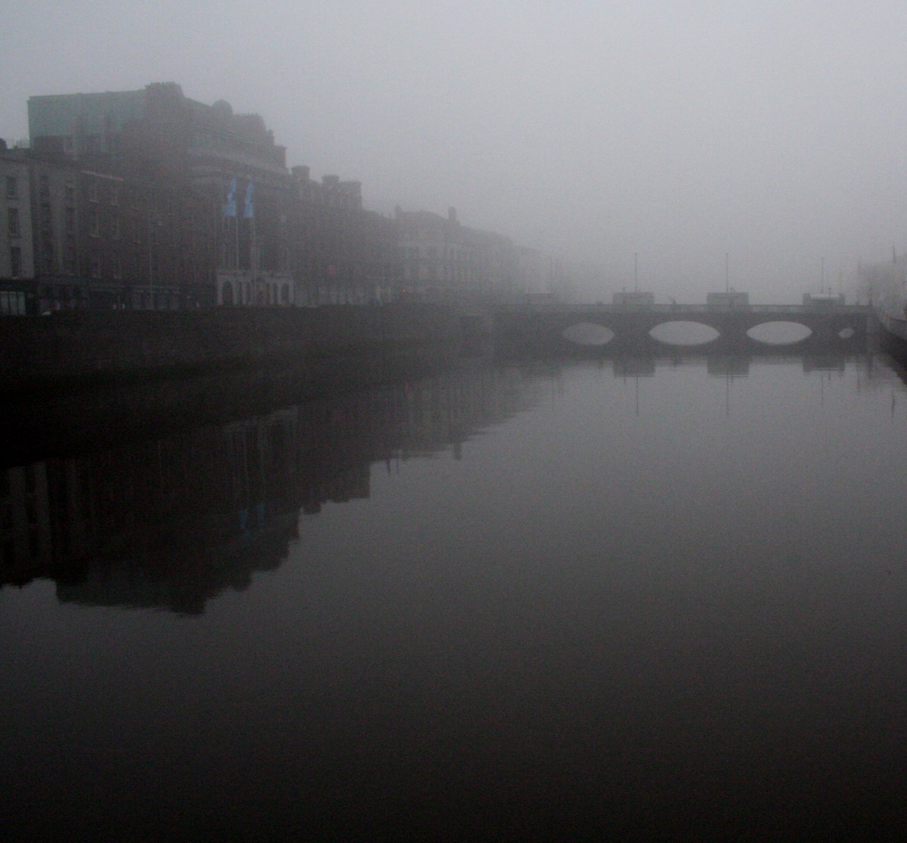 Misty Liffey