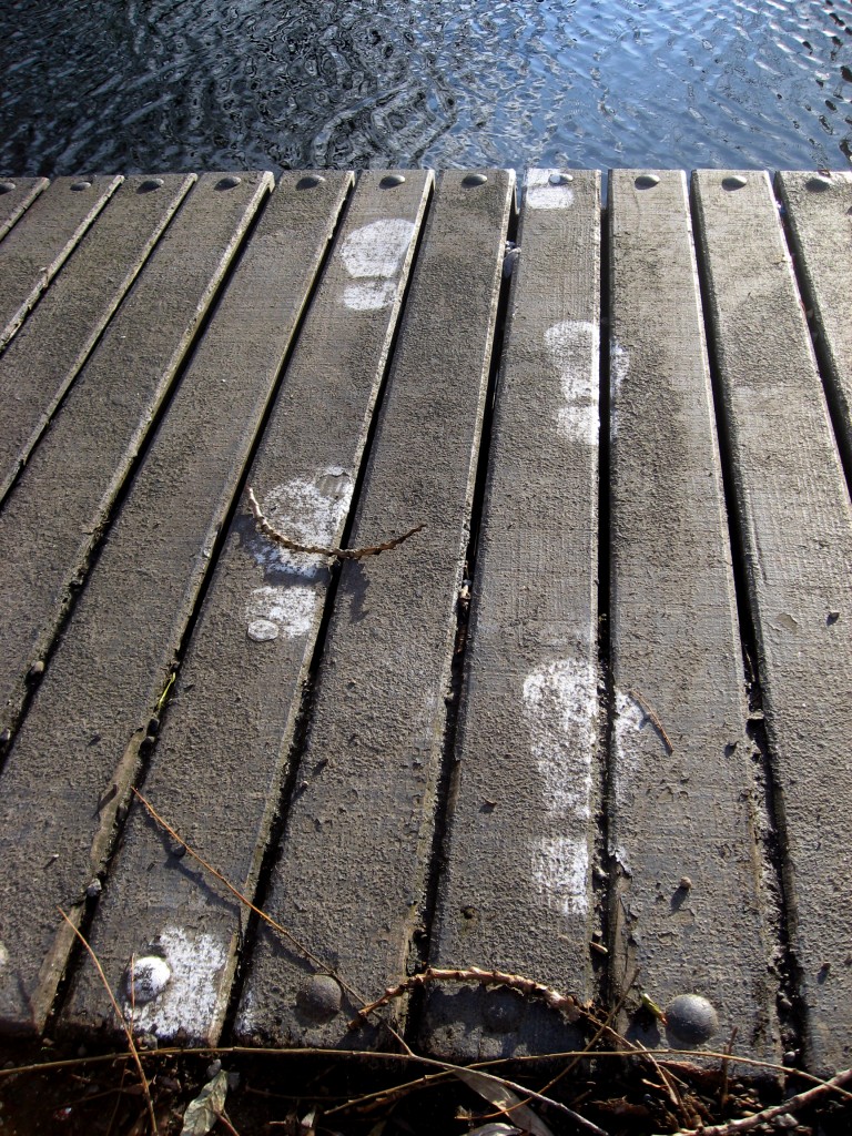 Grand canal footsteps