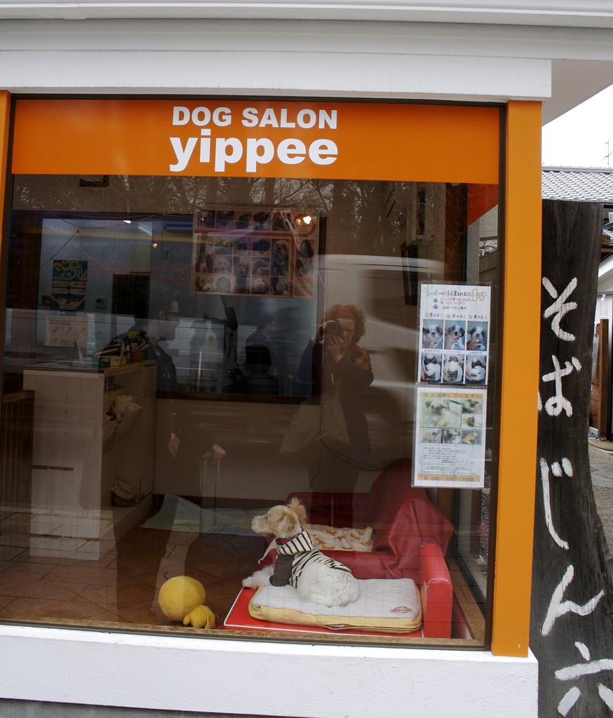 Kyoto Dog Salon Yippee