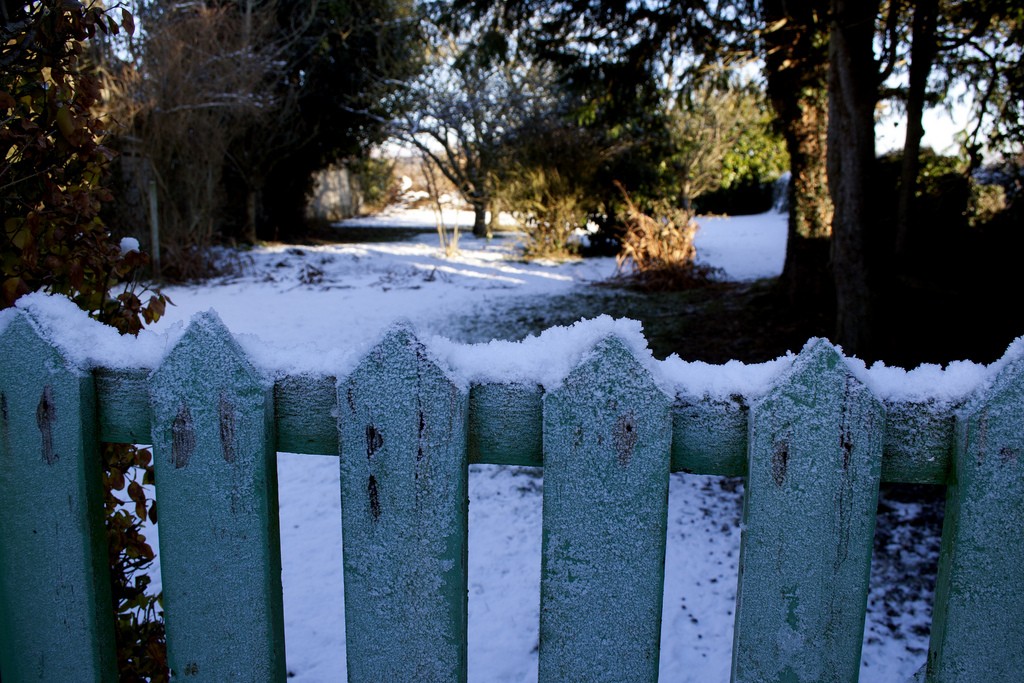 Snowy gate