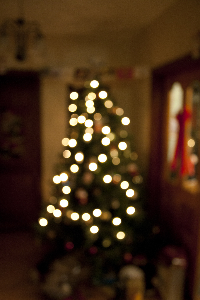 tree-bokeh