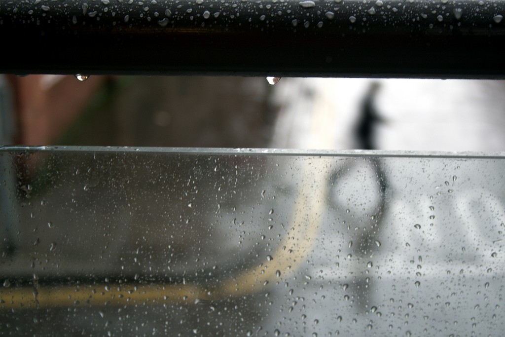 Rainy walk