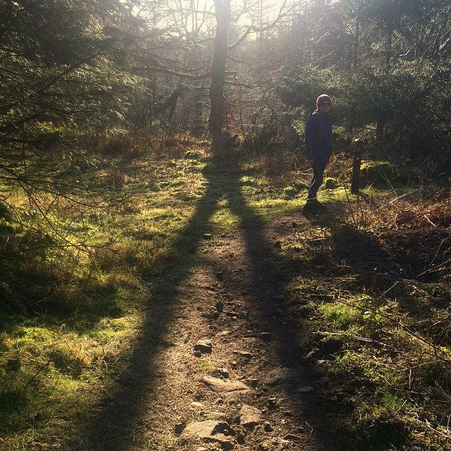 Wishbone #blog #ravensdale #insta_dundalk