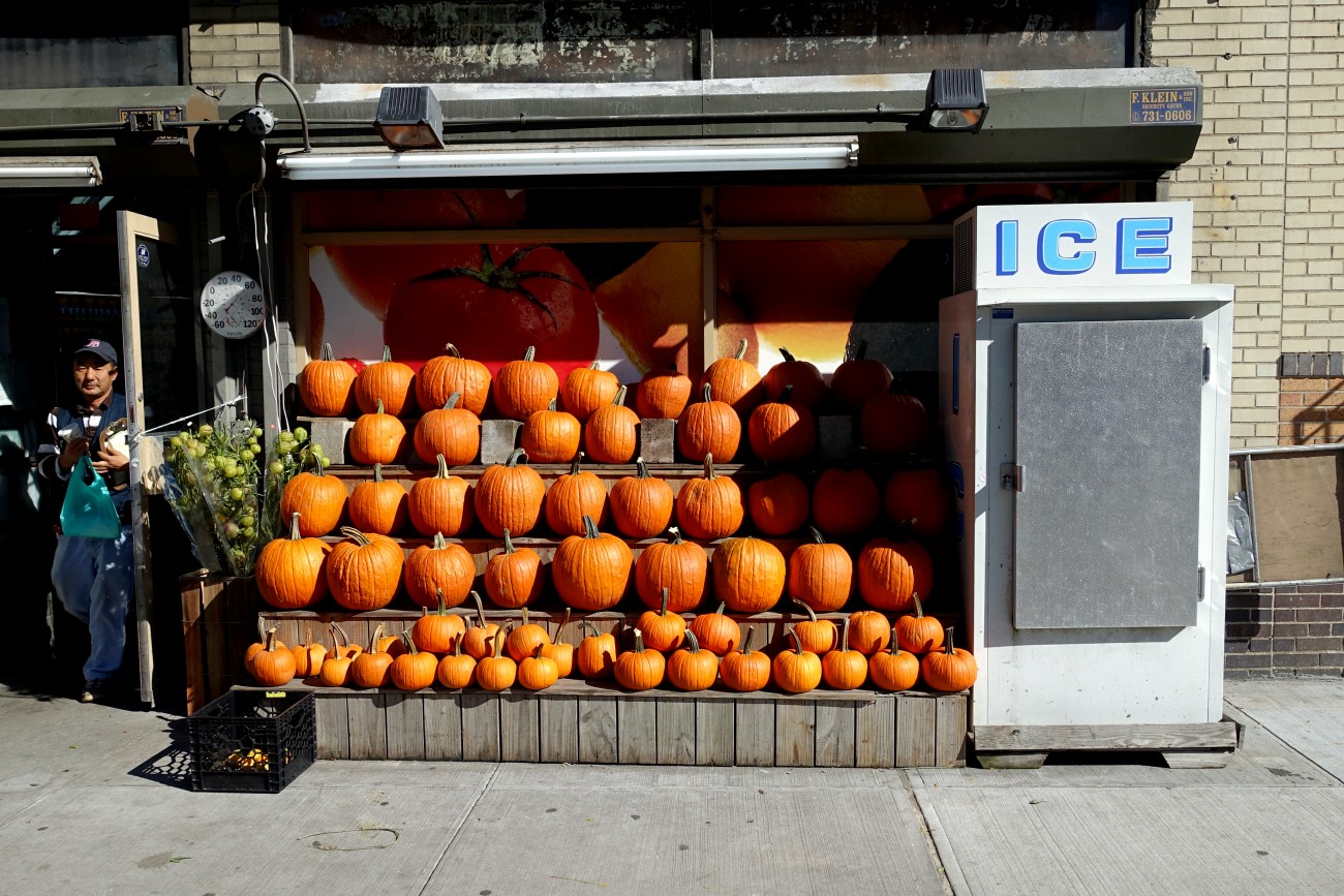 Pumpkins and Ice NYC