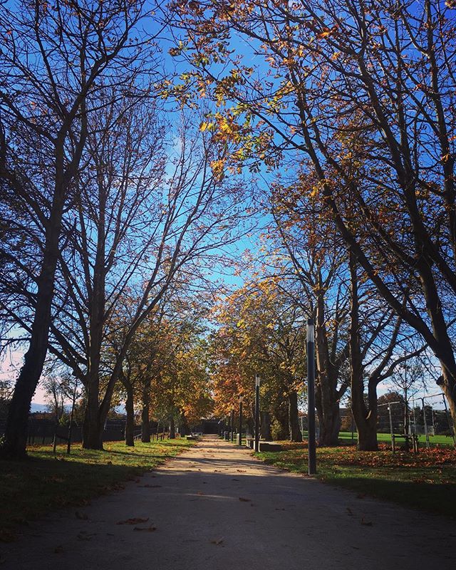 Everyone in Grangegorman takes a photo of this #blog #grangegorman #dublin