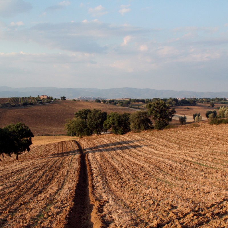 Tuscany