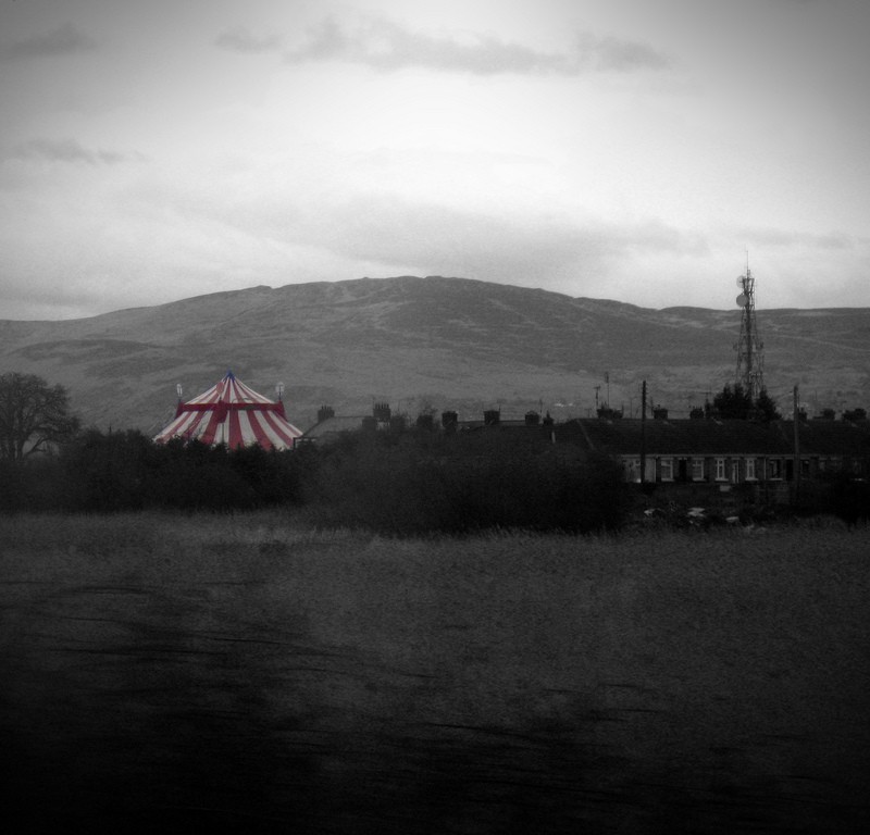 Circus